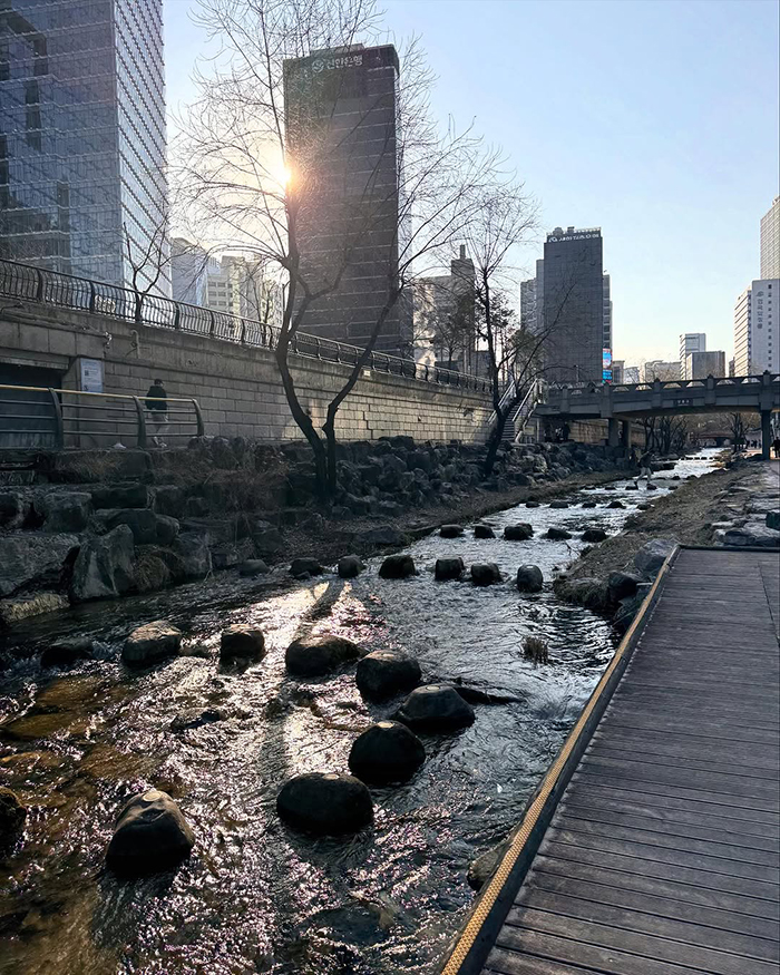 Mùa Hè (Tháng 6 - Tháng 8) tại suối cheonggyecheon hàn quốc