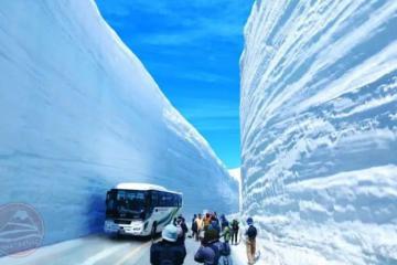 Ngắm dãy Alps Nhật Bản, thưởng thức hải sản trứ danh cùng cẩm nang du lịch Toyama Nhật Bản