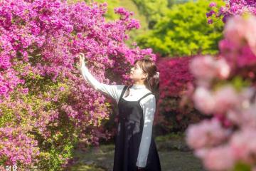 Không bỏ lỡ bất cứ trải nghiệm thú vị nào tại ‘thành phố của trái cây và hoa’ với cẩm nang du lịch Kurume chi tiết