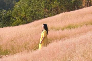 Cẩm nang du lịch Lâm Đồng: Vi vu thảo nguyên xanh trong lành