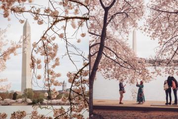 Đài tưởng niệm Washington Mỹ: Công trình biểu tượng cho sự giao thoa giữa lịch sử và tiến bộ