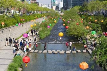 Suối Cheonggyecheon Hàn Quốc - Điểm đến thư giãn giữa lòng Seoul