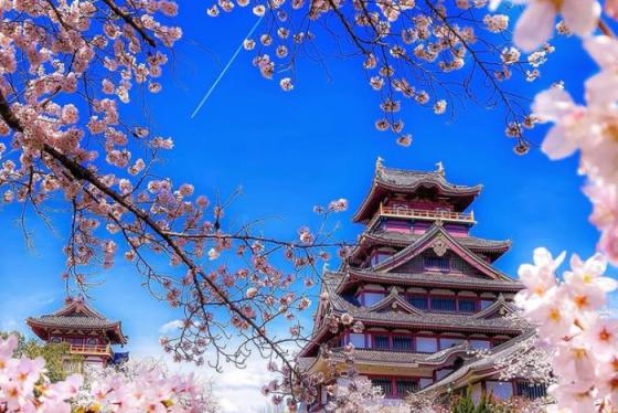 Lạc vào miền cổ tích trong cẩm nang du lịch Kyoto Nhật Bản