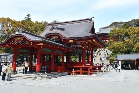 Ngẩn ngơ trước sắc hoa anh đào trong cẩm nang du lịch Kanagawa Nhật Bản