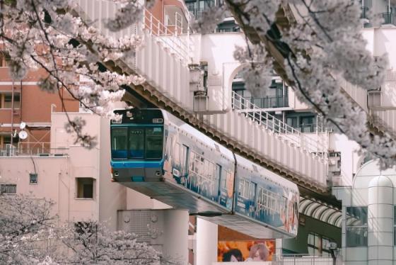 Hé lộ thiên đường cảnh sắc trong cẩm nang du lịch Chiba Nhật Bản