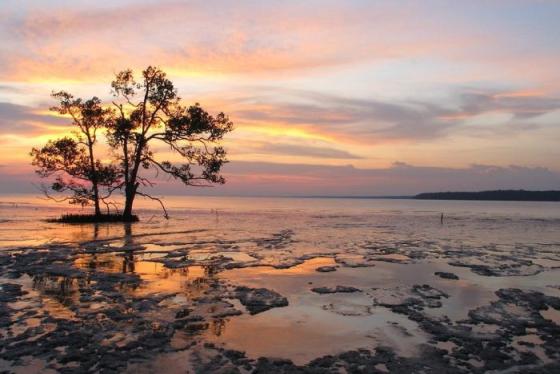 Cẩm nang du lịch Muar Malaysia: Hành trình tìm về miền đất nghệ thuật