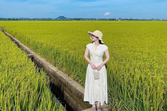 [Cập nhật] Cẩm nang du lịch tháng 4 tranh thủ check-in với cánh đồng lúa An Nhứt Vũng Tàu thành phố Hồ Chí Minh đẹp như tranh