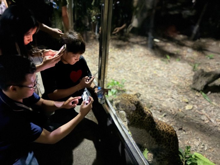 Tour đêm thảo cầm viên TP HCM có tên gọi Khi màn đêm buông xuống