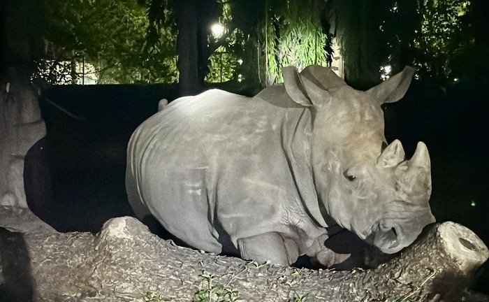 Khám phá tour đêm thảo cầm viên TP HCM