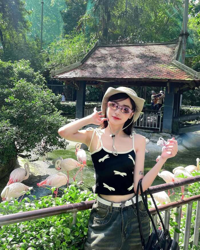 Tour đêm thảo cầm viên TP HCM được tổ chức vào thứ 7 hàng tuần