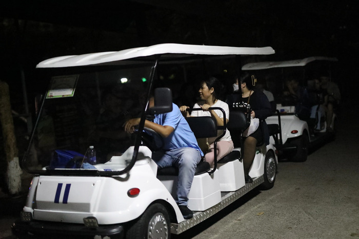 Khám phá tour đêm thảo cầm viên TP HCM