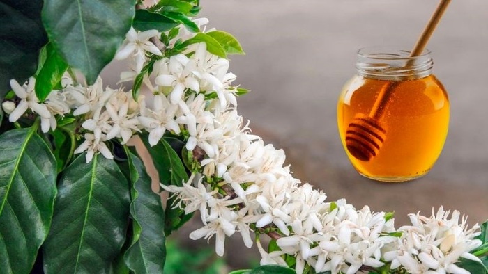 Ghé thăm tượng đài chiến thắng Buôn Ma Thuột - Mua đặc sản làm quà