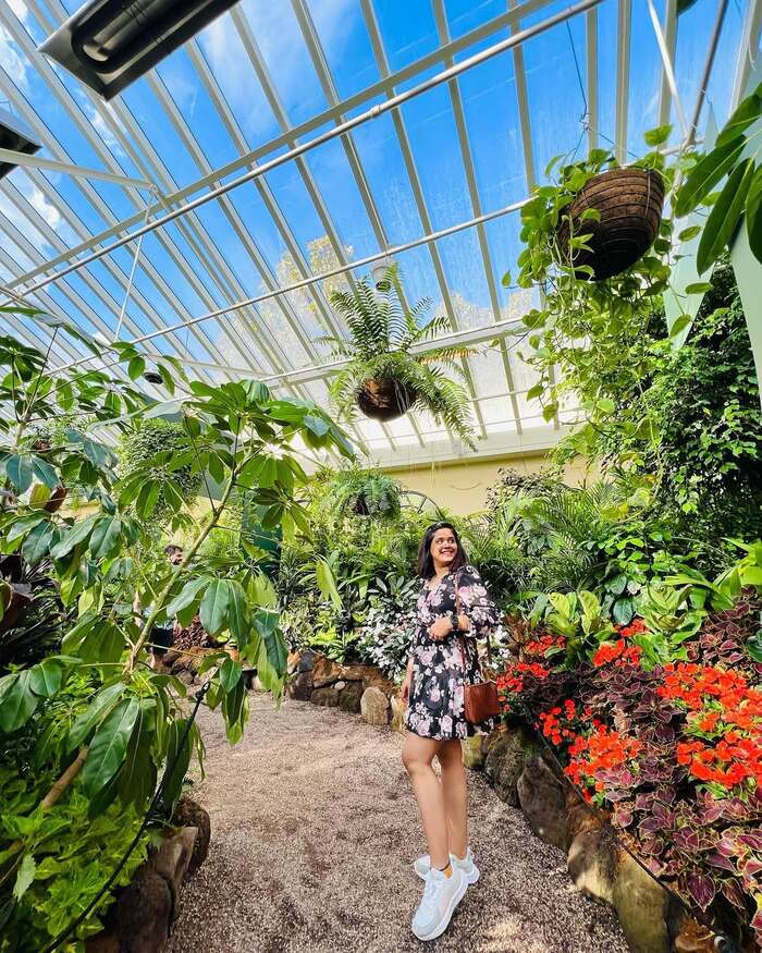 Tham quan khu nhà kính trong vườn thực vật Fitzroy Úc 