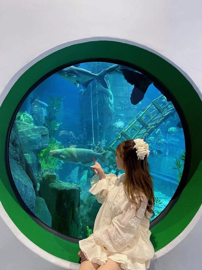 Khu vui chơi ở Hà Nội cho người lớn về thế giới đại dương ngay giữa lòng Hà Nội