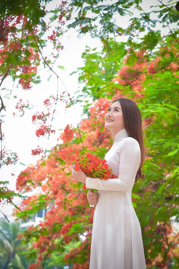 cung đường ngắm hoa phượng 