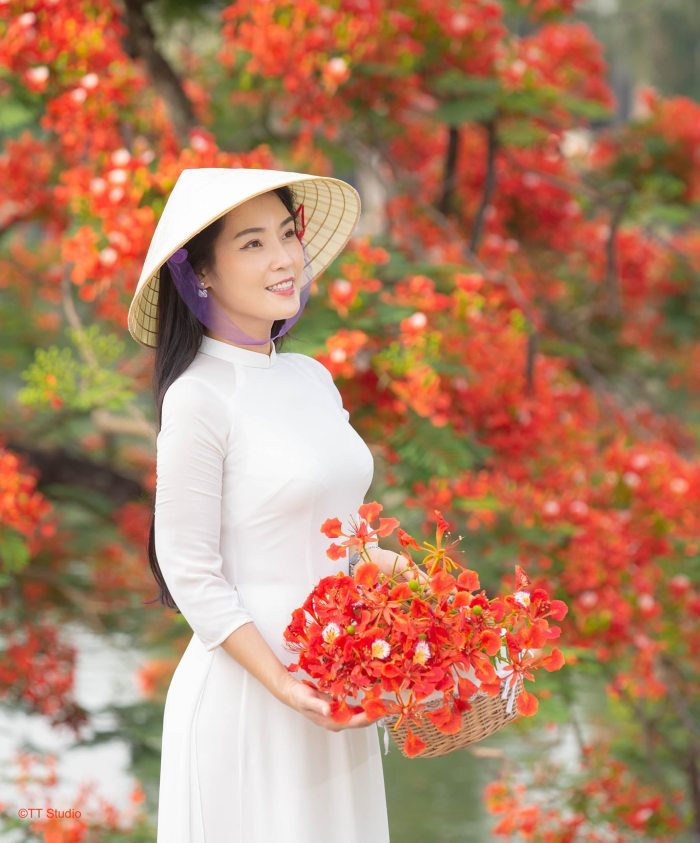 cung đường ngắm hoa phượng 