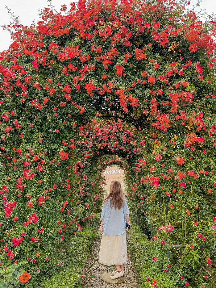 Sa Pa là điểm du lịch bằng tàu hỏa nổi tiếng của nước ta
