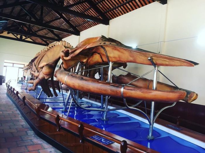 Dinh Vạn Thuỷ Tú 