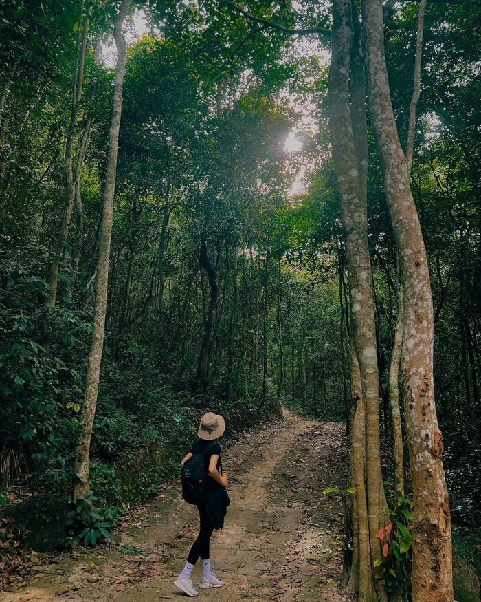 du lịch Bà Rịa – Vũng Tàu trekking núi Dinh