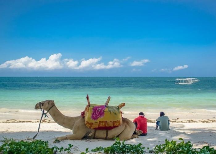 Du lịch Kenya - Bạn nên mua bảo hiểm trước khi đi du lịch Kenya