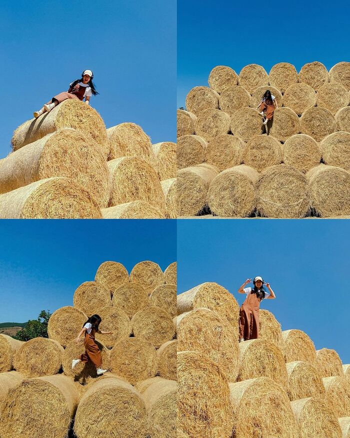 du lịch mùa hè ở Đà Lạt check-in với khung cảnh trời Tây tại Chika Farm