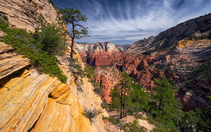 Mountain of the Sun là điểm đến phù hợp cho những ai đang tìm kiếm đường mòn đi bộ tốt nhất Công viên quốc gia Zion