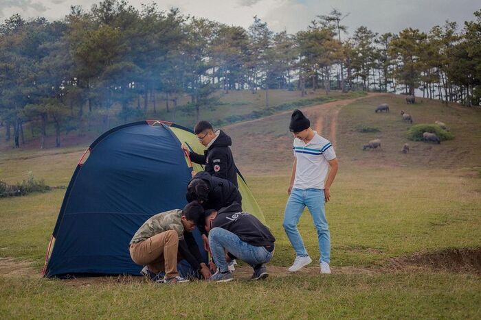 cắm trại qua đêm ở hồ Suối Vàng Đà Lạt 