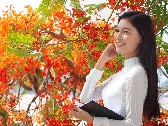 Nhắc tới Hải Phòng người ta sẽ nghĩ ngay tới mùa hoa phượng Hải Phòng