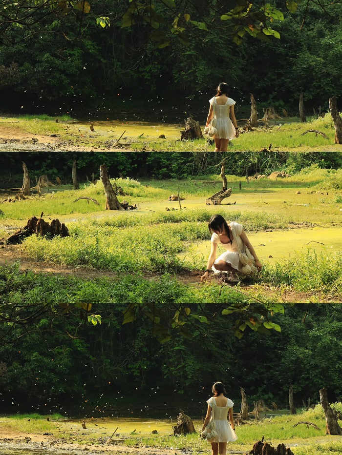 Ninh Bình tháng 6 có gì? Vườn Quốc gia Cúc Phương – nơi cho bạn về với thiên nhiên