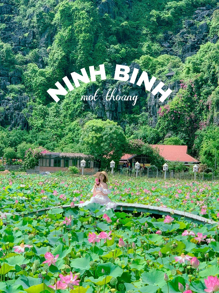 Ninh Bình tháng 6 có gì? Tràn ngập điều đẹp đẽ đang chờ đón bạn