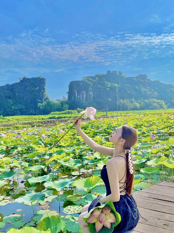 Ninh Bình tháng 6 có gì, Ghé Hang Múa để check in với vựa sen hồng rực rỡ