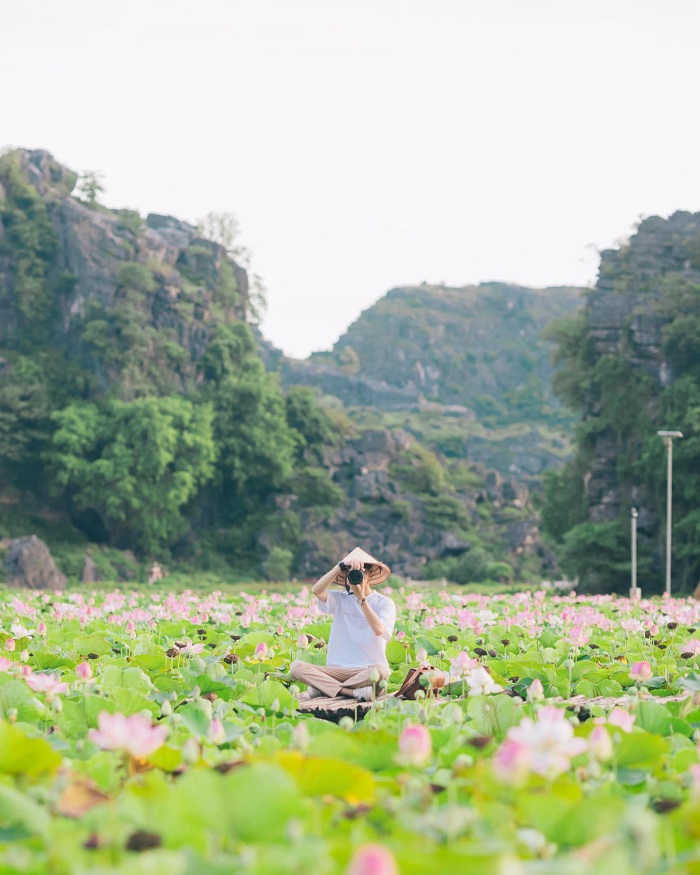 Ninh Bình tháng 6 có gì? Hang Múa nơi ngắm sen đẹp nhất Ninh Bình