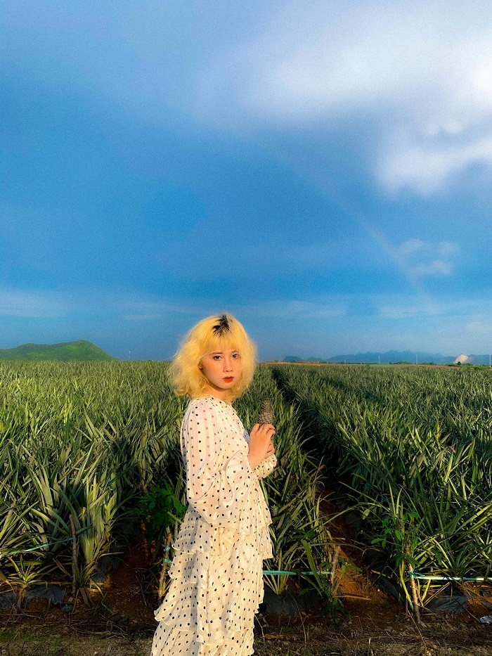 Ninh Bình tháng 6 có gì, Tới đồi dứa Tam Điệp để check in và hái dứa thôi nào