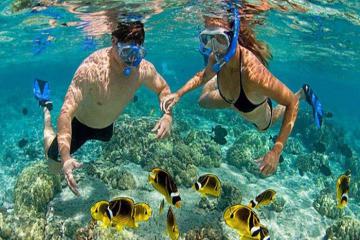 Báo Hong Kong cách làm du lịch của Cù Lao Chàm