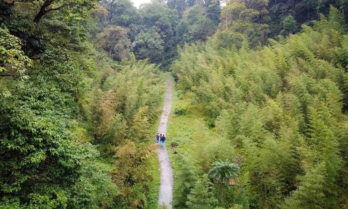 Đường vào làng Sảo Há Hà Giang đẹp như chốn cổ tích