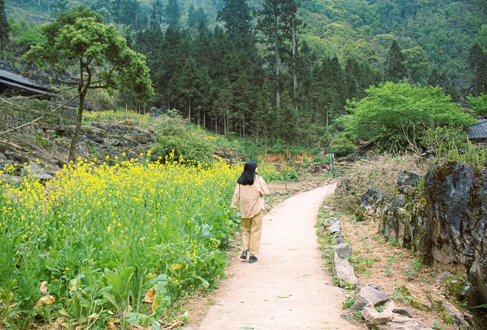 Ở làng Sảo Há Hà Giang, không khí lúc nào cũng xanh mướt trong lành