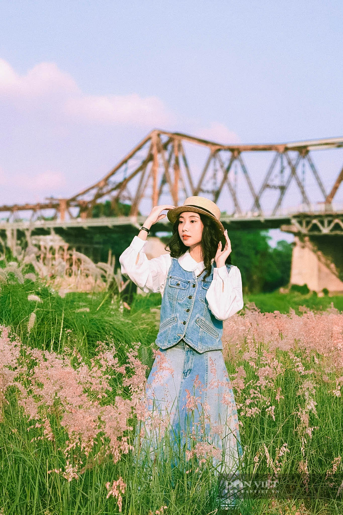 Còn chần chờ gì nữa mà không tới bãi cỏ hồng Long Biên Hà Nội thôi nào