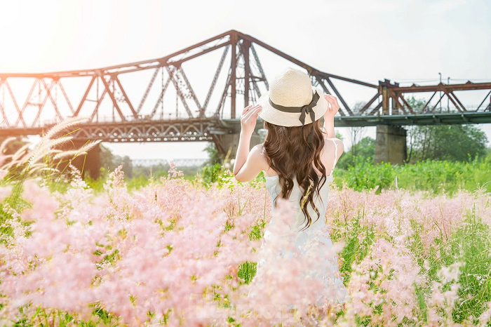 Khung cảnh lãng mạn tại bãi cỏ hồng cầu Long Biên Hà Nội