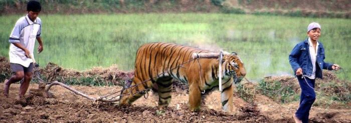 Bàu Thủy Ứ Quảng Trị