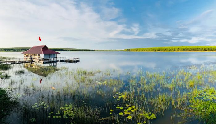 Cảnh sắc Bàu Thủy Ứ Quảng Trị