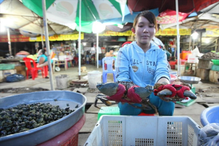 Kinh nghiệm du lịch Biển Ba Động Trà Vinh - Mua hải sản tươi ở chợ
