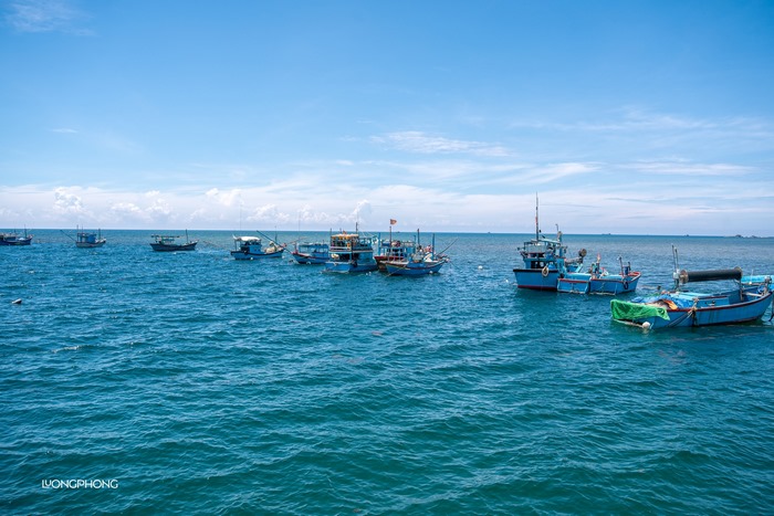 Những hình ảnh đầy chất thơ chụp từ bờ kè Thái An. 