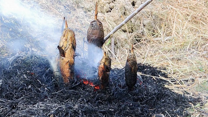 Khâu chế biến cá lóc nướng cuốn lá sen non đòi hỏi sự tỉ mỉ. 