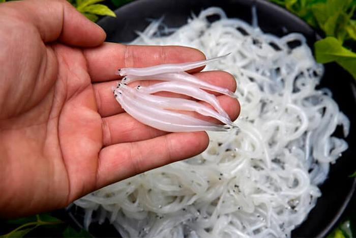 Giá cá ngần, đặc biệt là cá ngần sông Đà tương đối cao.