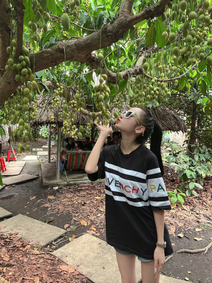 Vườn trái cây Lái Thiêu cho phép du khách hái quả thưởng thức trực tiếp