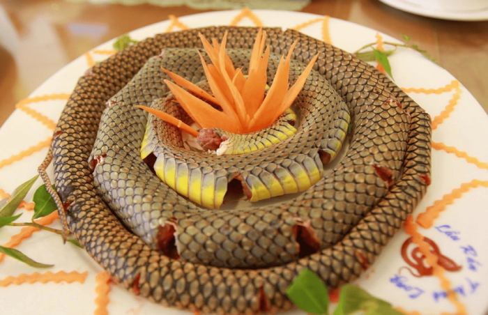 Rắn biển khô rất đắt đỏ