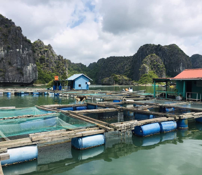 Làng chài dân dã với các hoạt động mưu sinh gắn liền với biển