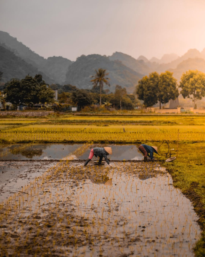 Làng Việt Hải mang đặc trưng của làng quê Bắc Bộ nhưng nằm trên đảo
