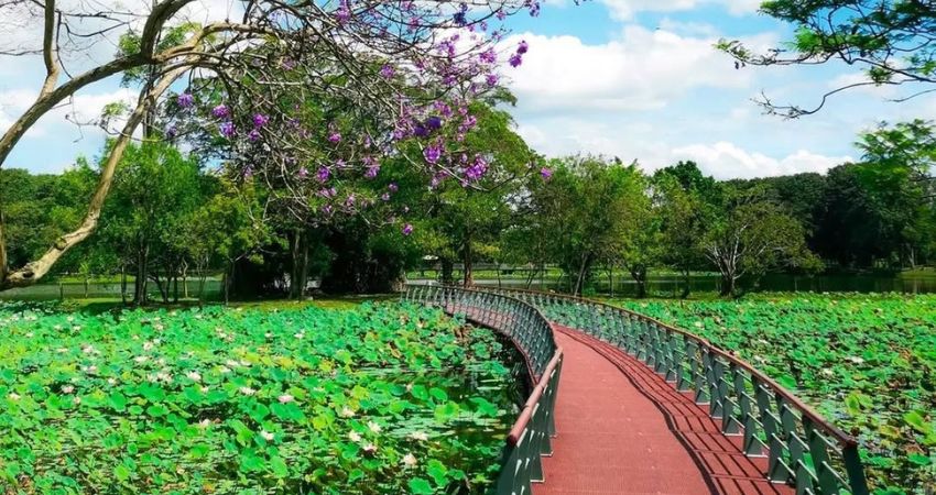 Kiểm tra kỹ thời tiết Cyberjaya Malaysia để có chuyến đi thật sự trọn vẹn