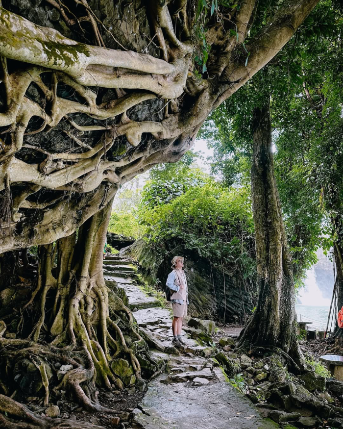 Đắk Lắk là vùng đất hiếm hoi giữ được sự tươi xanh và hùng vĩ của thiên nhiên